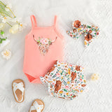 Coral Cow 3-Pc Set