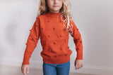 Rust Pom-Pom Sweater